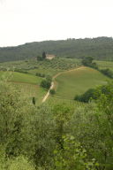 Yet another Tuscan vista