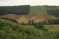 Another Tuscan vista