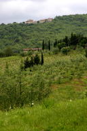 Yet one more Tuscan vista