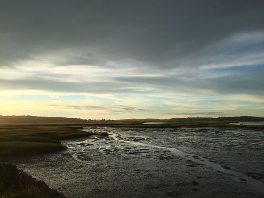 The flats at low tide, dusk