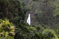 View of ‘Akaka Falls from afar
