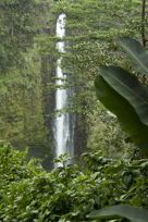 ‘Akaka Falls, II