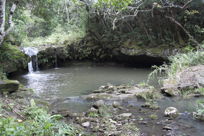 waterfall-fed-pond