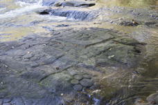 water flowing over lingams