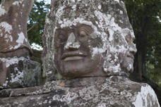multifaced head with lichen