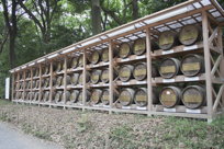 barrel upon barrel of wine