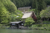 Old house on the pond, I