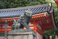 Dog at Yasaka Temple