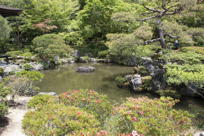 Gardens at GinKaku-ji, I
