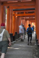 Tunnel of torii, III