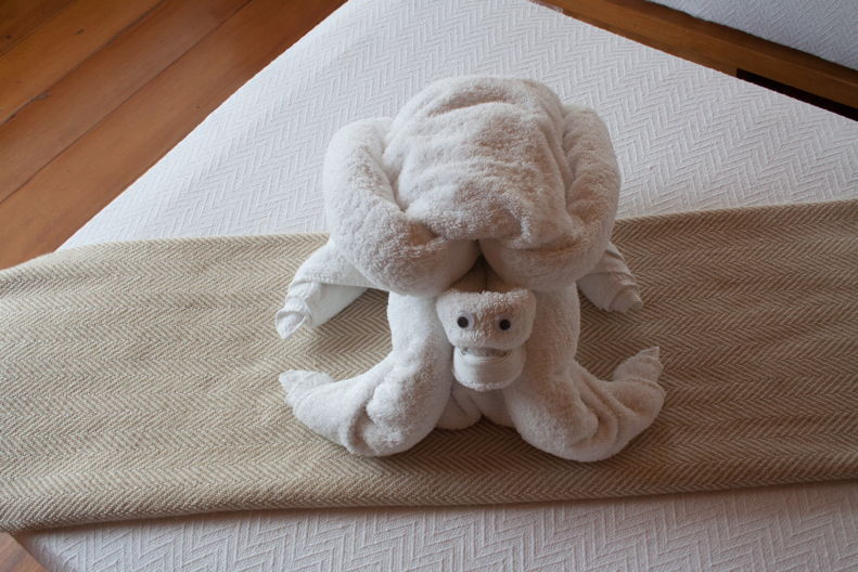 Towel origami of a turtle, pretty good