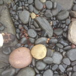 beach rocks