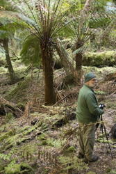 Mark and the tree fern
