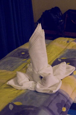 Towel origami