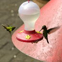 hummingbird III