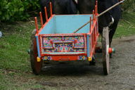 painted ox-cart