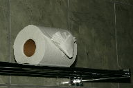 fancy toilet paper