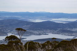 Derwent estuary